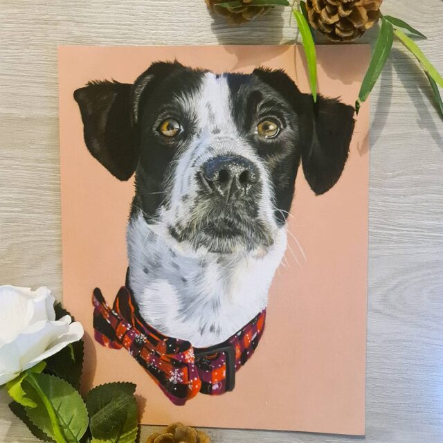 Portrait pastels chien